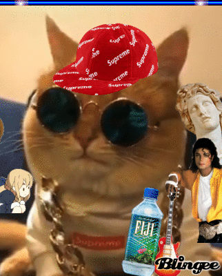 Discord pfp cat Picture #137446454 | Blingee.com