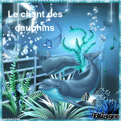 LE CHANT DES DAUPHINS