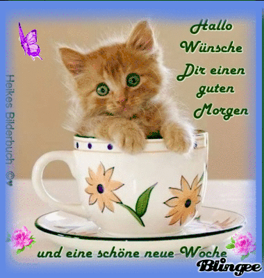 Ich wünsche Dir einen sehr schönen Tag mit Sonnenschein Picture