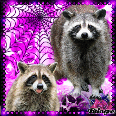 Raccoons in the Attic--Things That Goes Bump In The Night Picture