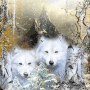IVXXTHEWOLF IVXXTHEWOLF