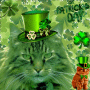 cats vert st patrick's day 2020 cats vert st patrick's day 2020