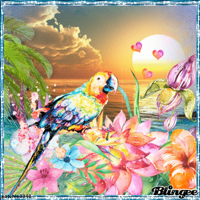PERROQUET 25
