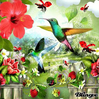 Hummingbirds Picture #137547799 | Blingee.com