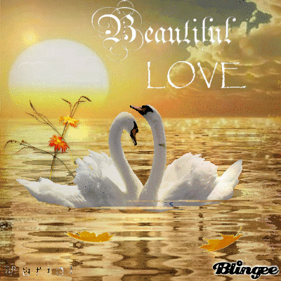 BEAUTIFUL LOVE*2020*MARIELCB