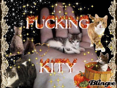 kity Picture 137660867