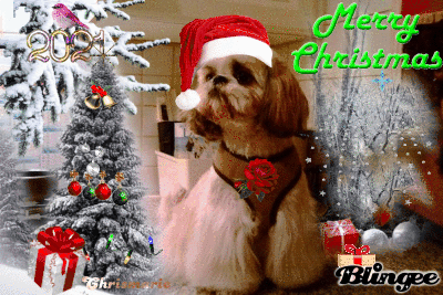 Eylene vous souhaite une Bonne Annee...