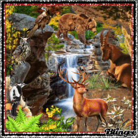 Welttierschutztag am 4.10.2021