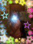Animated Picture
