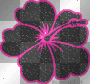 black flower