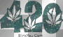 weed 420