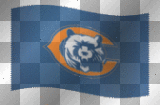 chicago bears