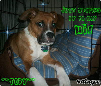 toby