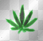 Weed 