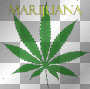 WEED