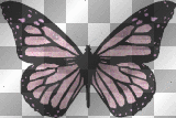 pink butterfly glitter