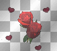 roses for you