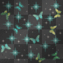 butterflys