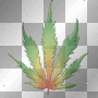 weed