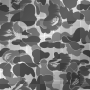 bape