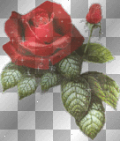 red glitter rose 