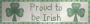 proud to be irish 
