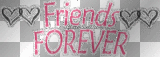 friends forever glitter