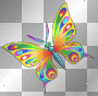 rainbow butterfly