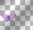 purple butterfly 
